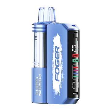 Blueberry Watermelon Foger Switch Pro Kit 30K